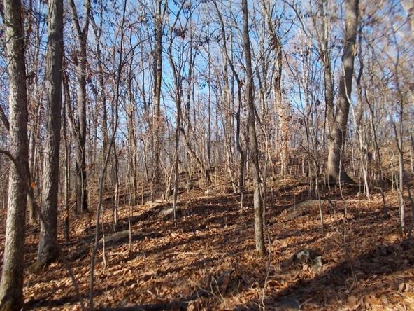 414 Doane Rd, New Market, TN 37820